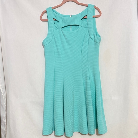 Gabby Skye Sleeveless Cutout Fit-and-Flare Dress, Size 14, NWOT, MAKE AN  OFFER!!